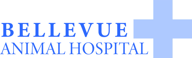 Bellevue Animal Hospital logo