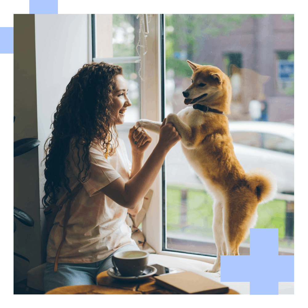 women playing with pet inside